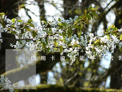 信用卡逾期能考司考吗 信用卡逾期能考司考吗