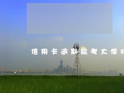 信用卡逾期能考大学吗