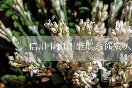 信用卡逾期能联系你家人吗 信用卡逾期能联系你家人吗
