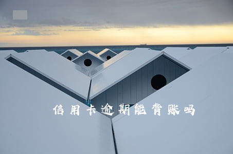 信用卡逾期能背账吗 信用卡逾期能背账吗