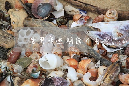 信用卡逾期能补身份证么 信用卡逾期能补身份证么