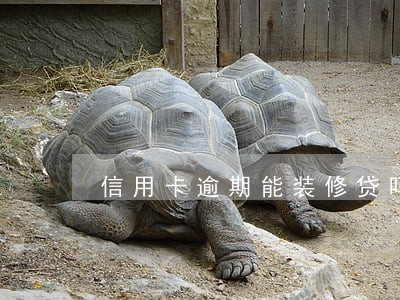 信用卡逾期能装修贷吗 信用卡逾期能装修贷吗