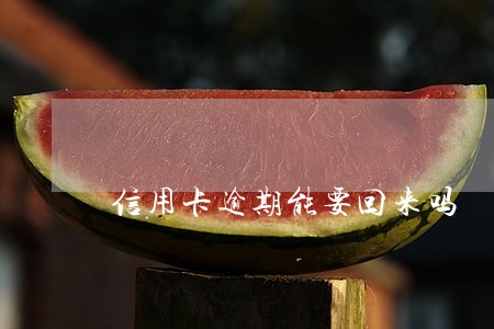 信用卡逾期能要回来吗 信用卡逾期能要回来吗