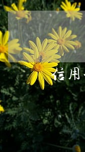 信用卡逾期能要求只还本金吗 信用卡逾期能要求只还本金吗