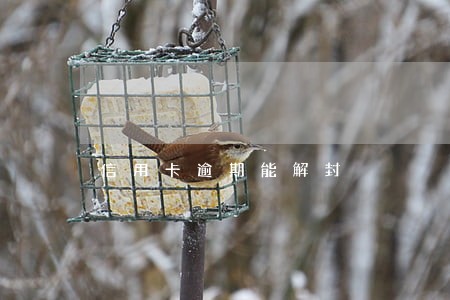 信用卡逾期能解封