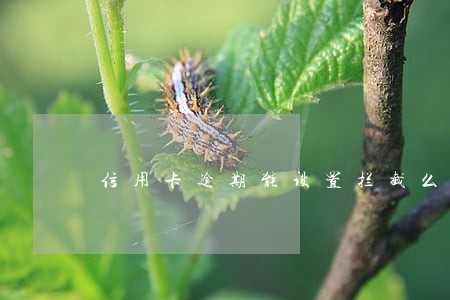 信用卡逾期能设置拦截么