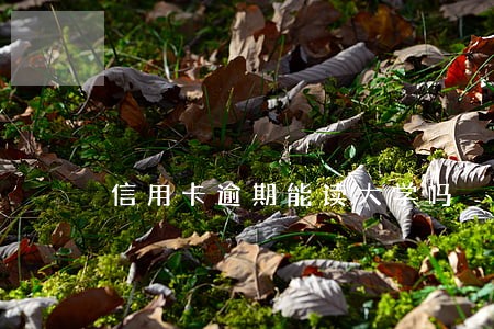 信用卡逾期能读大学吗 信用卡逾期能读大学吗