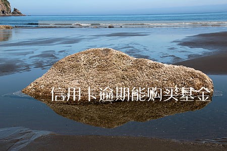 信用卡逾期能购买基金 信用卡逾期能购买基金