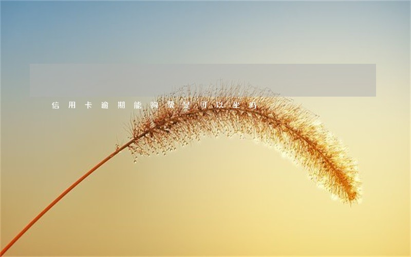 信用卡逾期能购票是可以坐吗 信用卡逾期能购票是可以坐吗