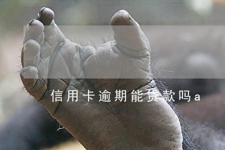 信用卡逾期能贷款吗a