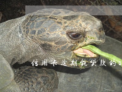 信用卡逾期能贷款的app 信用卡逾期能贷款的app