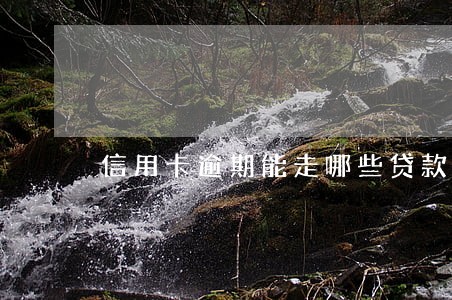 信用卡逾期能走哪些贷款 信用卡逾期能走哪些贷款