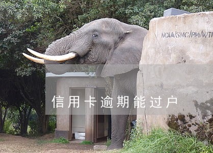 信用卡逾期能过户