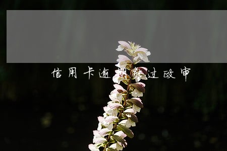 信用卡逾期能过政审 信用卡逾期能过政审