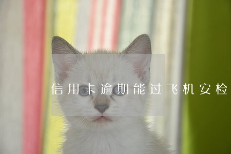 信用卡逾期能过飞机安检吗 信用卡逾期能过飞机安检吗