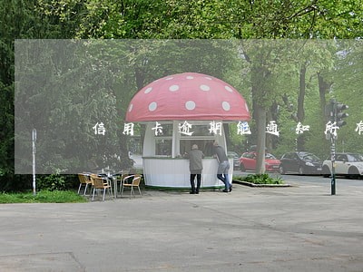 信用卡逾期能通知所有亲戚吗