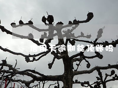 信用卡逾期能顶账吗 信用卡逾期能顶账吗