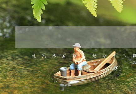 信用卡逾期自动分十二期 信用卡逾期自动分十二期