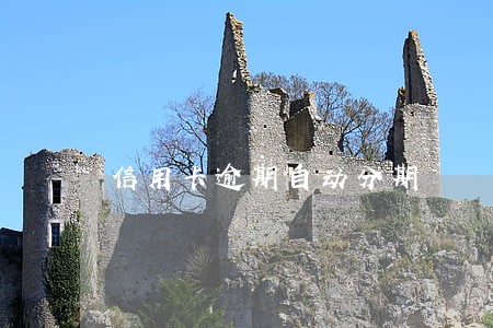 信用卡逾期自动分期 信用卡逾期自动分期