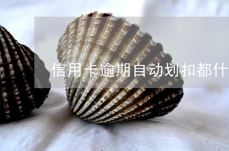 信用卡逾期自动划扣都什么时间扣