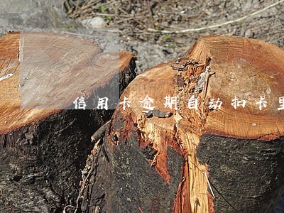 信用卡逾期自动扣卡里钱 信用卡逾期自动扣卡里钱
