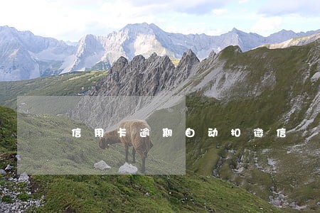 信用卡逾期自动扣微信 信用卡逾期自动扣微信