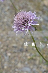 信用卡逾期自动扣款几点停 信用卡逾期自动扣款几点停