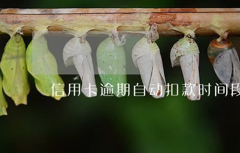 信用卡逾期自动扣款时间段 信用卡逾期自动扣款时间段