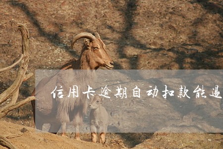 信用卡逾期自动扣款能退回来吗 信用卡逾期自动扣款能退回来吗