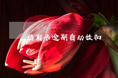 信用卡逾期自动挂扣 信用卡逾期自动挂扣