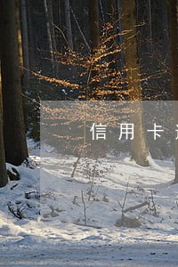 信用卡逾期自动还款怎么办
