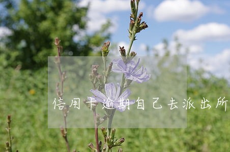 信用卡逾期自己去派出所自首 信用卡逾期自己去派出所自首