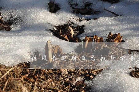 信用卡逾期自己扣款业务 信用卡逾期自己扣款业务