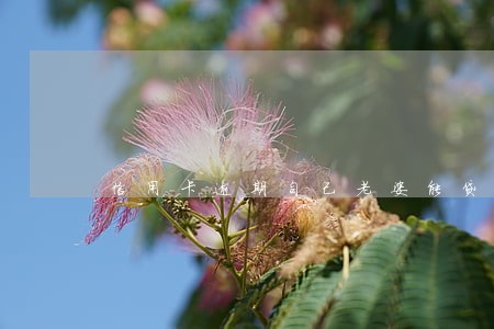 信用卡逾期自己老婆能贷款吗 信用卡逾期自己老婆能贷款吗