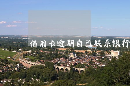 信用卡逾期自己联系银行
