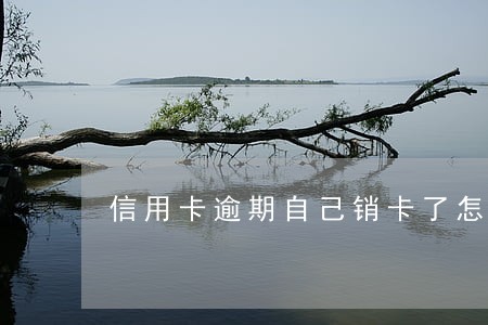 信用卡逾期自己销卡了怎么办 信用卡逾期自己销卡了怎么办