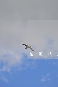 信用卡逾期自建户会被执行吗