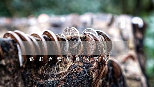 信用卡逾期自我救赎 信用卡逾期自我救赎