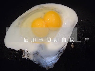信用卡逾期自救上岸