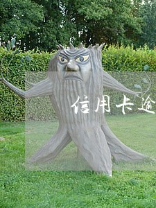 信用卡逾期自救项目 信用卡逾期自救项目