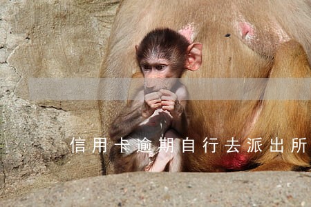 信用卡逾期自行去派出所备案