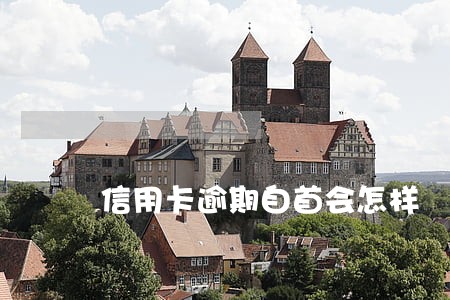 信用卡逾期自首会怎样 信用卡逾期自首会怎样