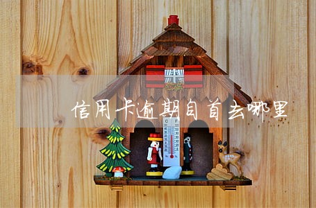 信用卡逾期自首去哪里 信用卡逾期自首去哪里