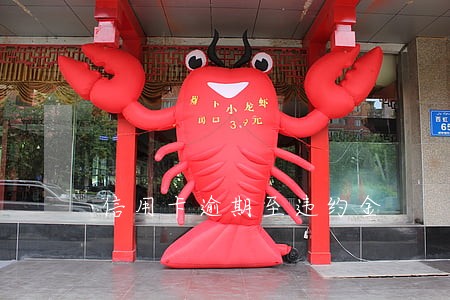信用卡逾期至违约金 信用卡逾期至违约金