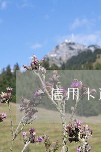 信用卡逾期致呆账怎么办 信用卡逾期致呆账怎么办