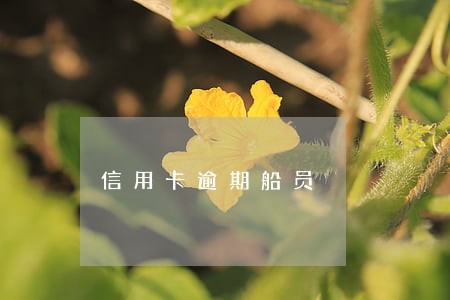 信用卡逾期船员 信用卡逾期船员