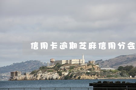 信用卡逾期芝麻信用分会降吗