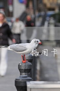 信用卡逾期芝麻分多久会掉