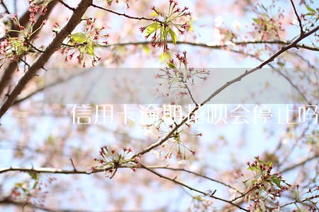 信用卡逾期花呗会停止吗