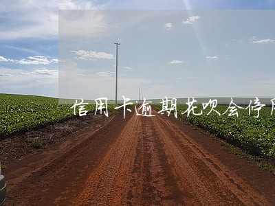 信用卡逾期花呗会停用吗 信用卡逾期花呗会停用吗